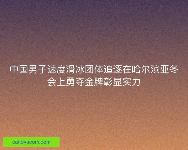 中国男子速度滑冰团体追逐在哈尔滨亚冬会上勇夺金牌彰显实力 中国男子速度滑冰团体追逐在哈尔滨亚冬会上勇夺金牌彰显实力